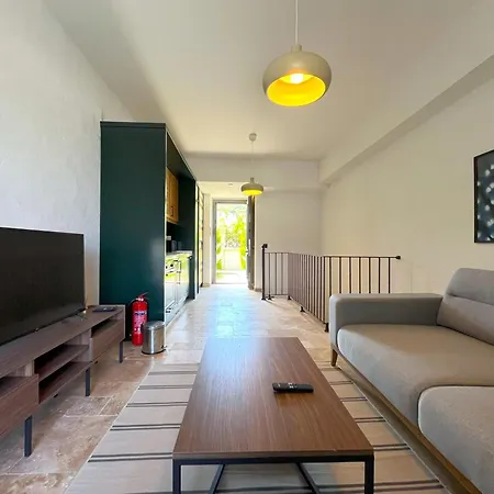 Flex Alacati Villa *